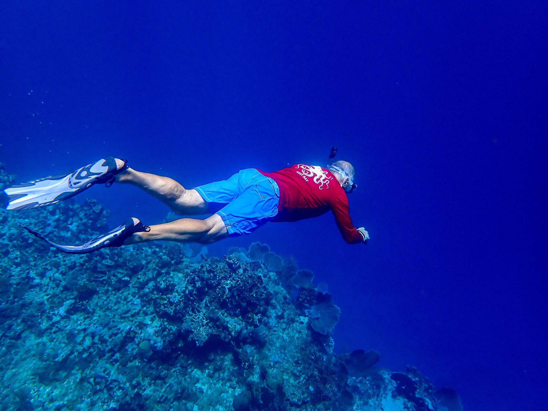 Reef Hopping Snorkel