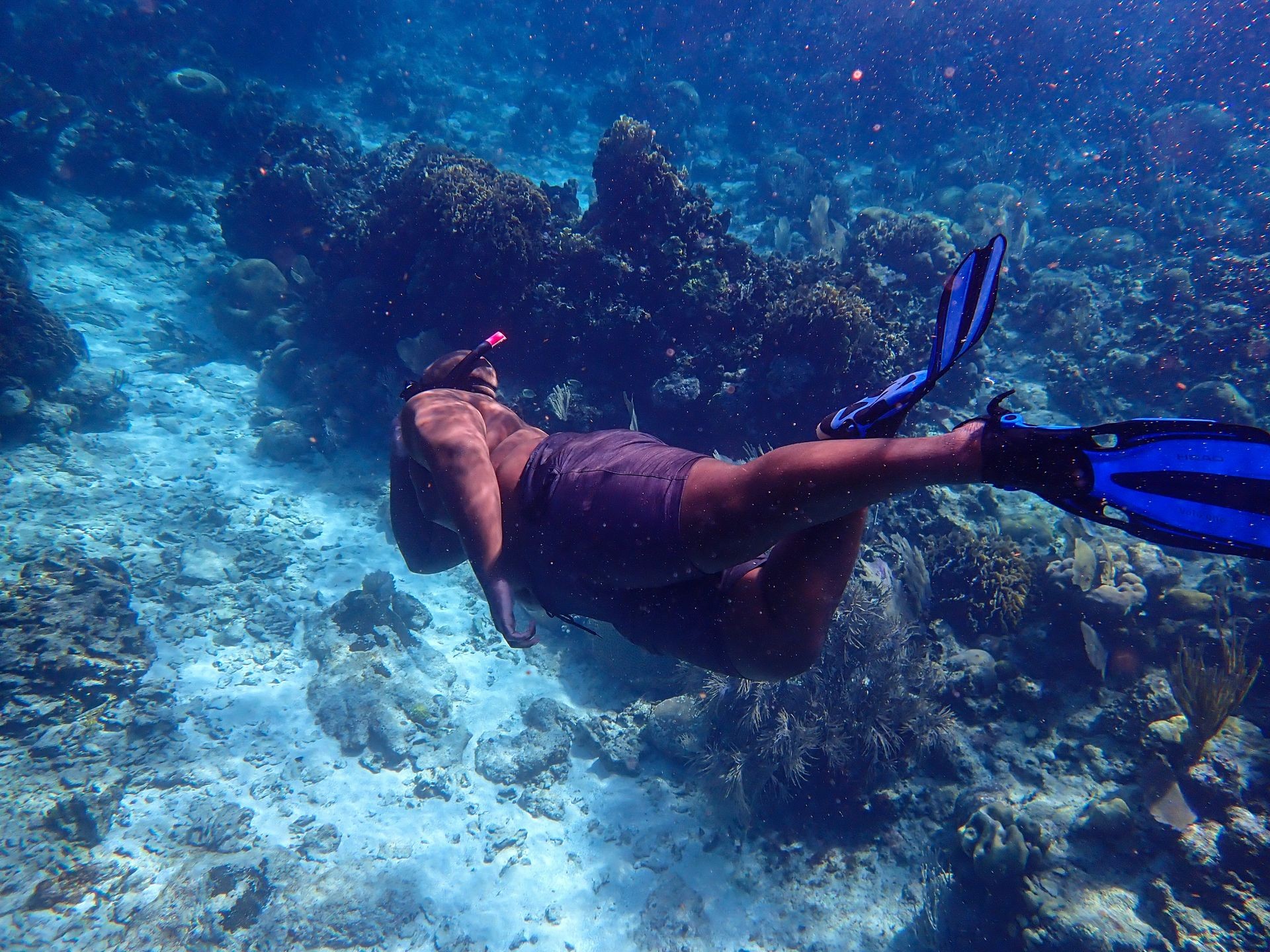 Snorkel Excursions