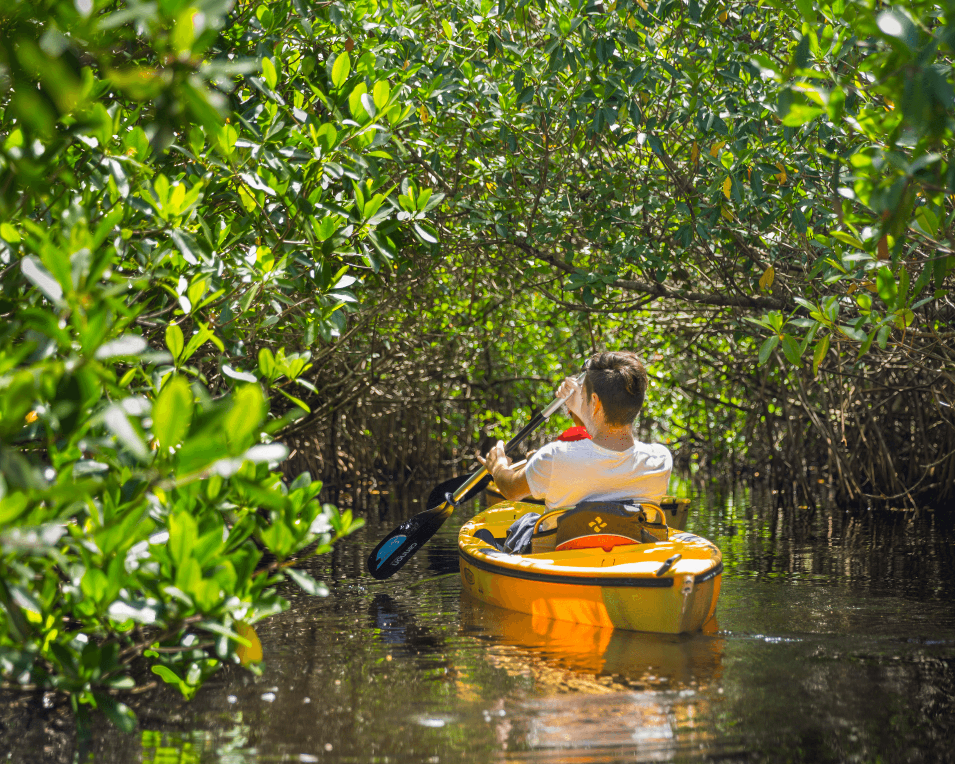 Kayak Excursions