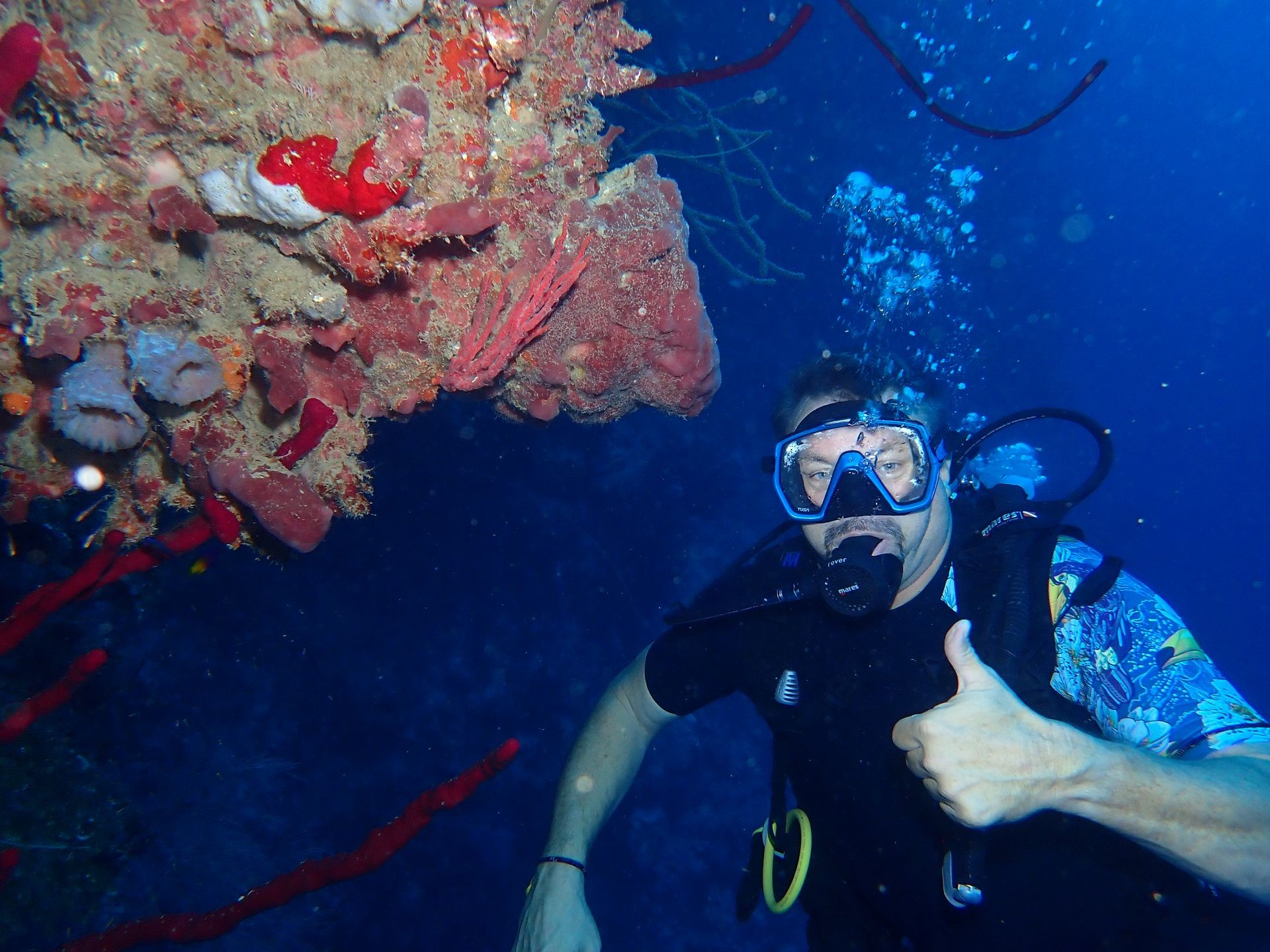 Diver hanging next to sponge corals. 